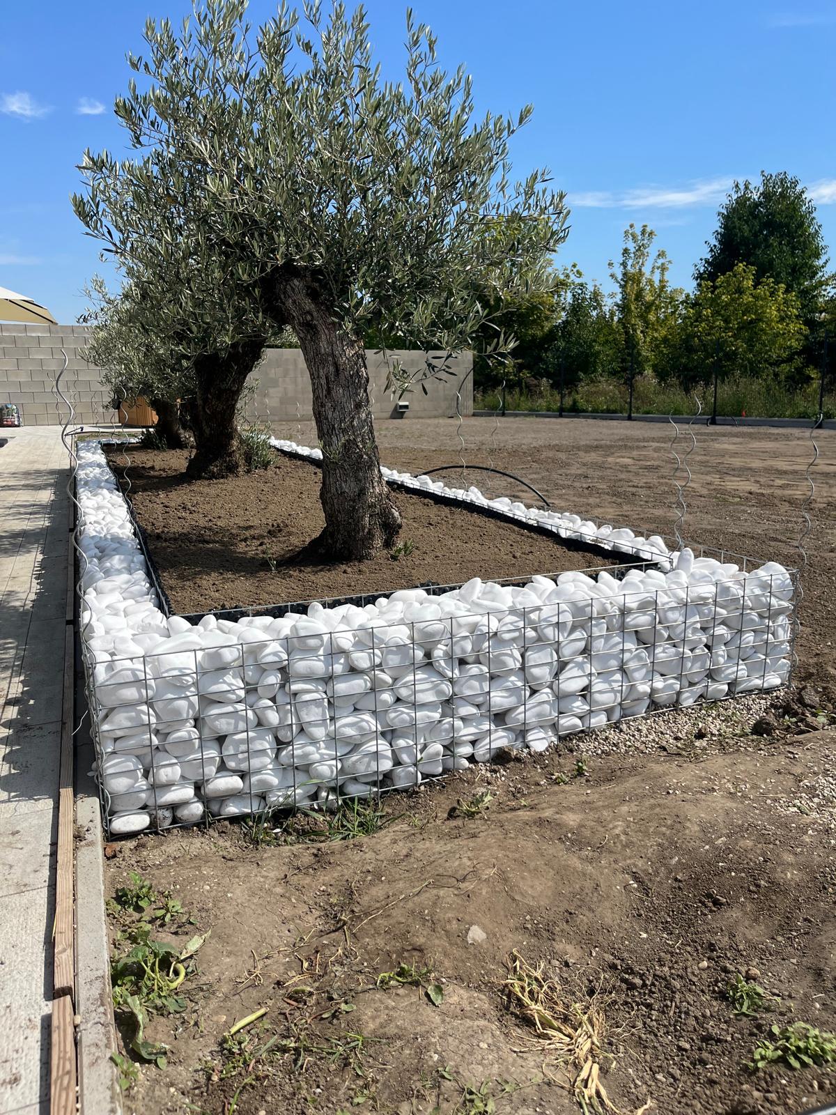 ZáhonyGabion 1